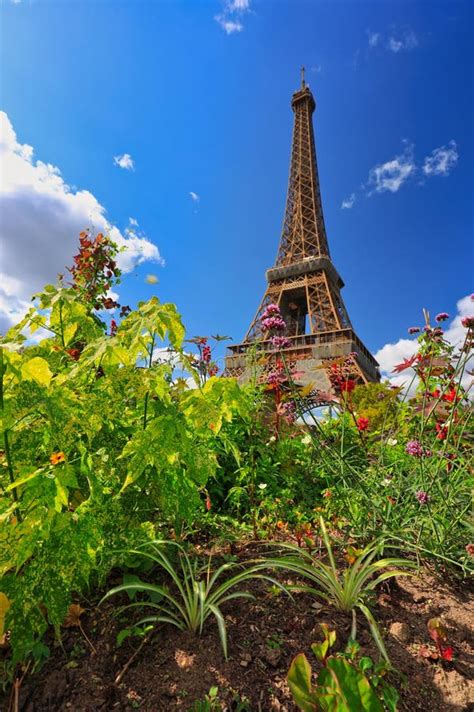 Eiffel Tower In Summer Season With Flowers Blooming Paris France