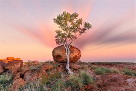 Right now, there are around 1,500 cryptocurrencies that have managed to list on exchanges and get some kind of traction. World's Top 10 Landscape Photographers 2019