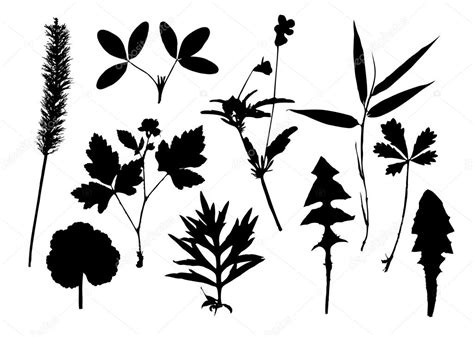 Silhouettes Of Leaves Stock Vector Image By ©ziablik 2574680