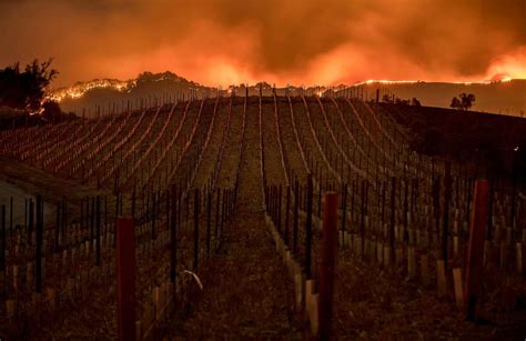 List Of Wineries Damaged In The Wine Country Fires Updates