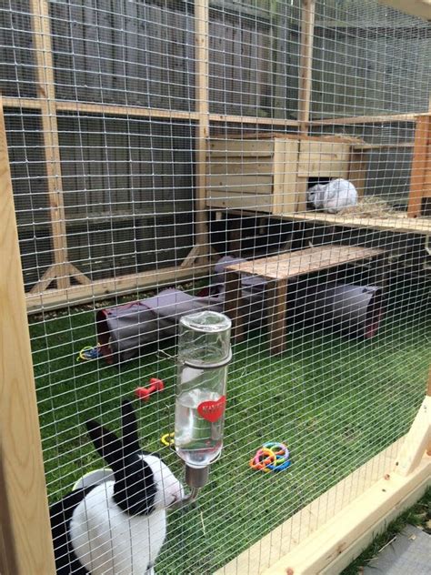 Boyles Pet Housing Walk In Rabbit Runs Rabbit Enclosure Rabbit