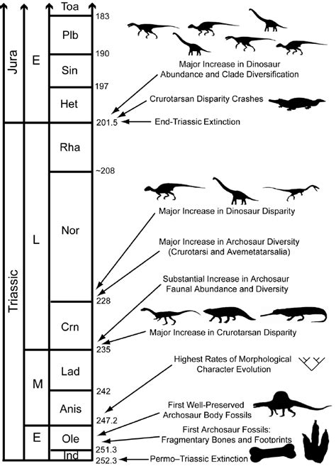 A Generalised Timeline Of Important Events In Triassicearly Jurassic