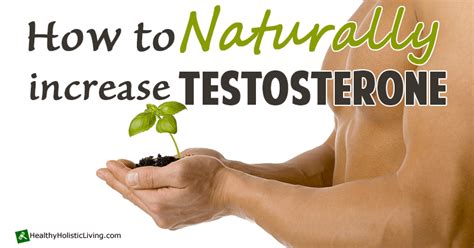 Top 10 Tips To Naturally Boost Testosterone Healthy Holistic