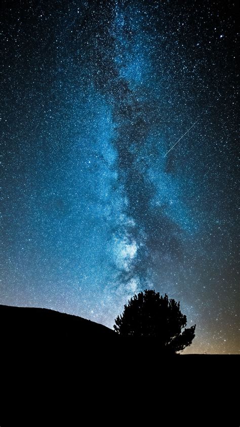 Download Wallpaper 1350x2400 Night Tree Starry Sky Dark Milky Way