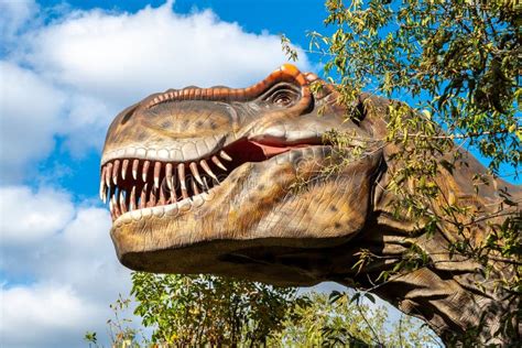 Cabeza Enorme De Un Dinosaurio Carnívoro Gigante Imagen de archivo