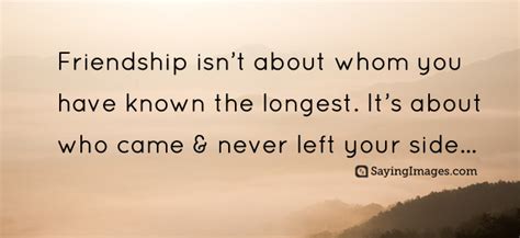 Maybe you would like to learn more about one of these? Funny Friendship Quotes with Pictures | SayingImages.com