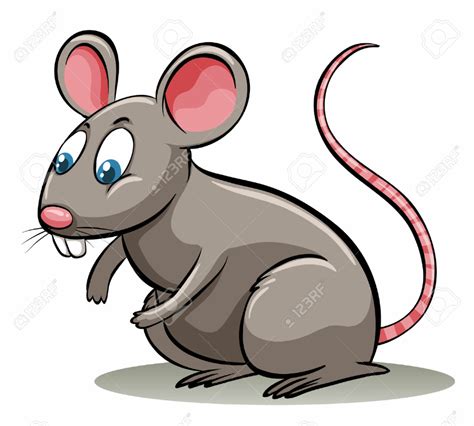Download High Quality Rat Clipart Realistic Transparent Png Images