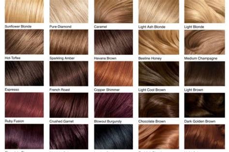 Shades Of Brown Hair Color Chart