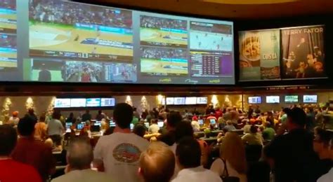 Gambling Herro: Fans at Vegas sportsbook go crazy for Tyler Herro's 