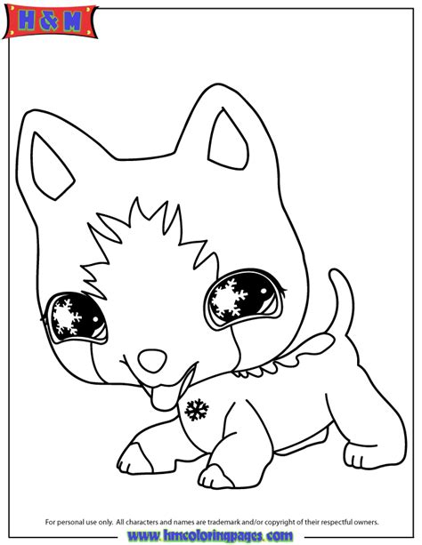 Pets Coloring Page Coloring Home