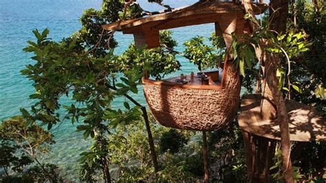 20 Awesome Treehouse With Childhood Dreams Homemydesign Tree House