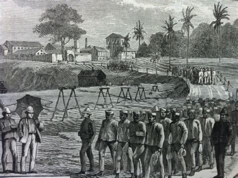 Convicts Collecting And Knowledge Production In The Nineteenth Century
