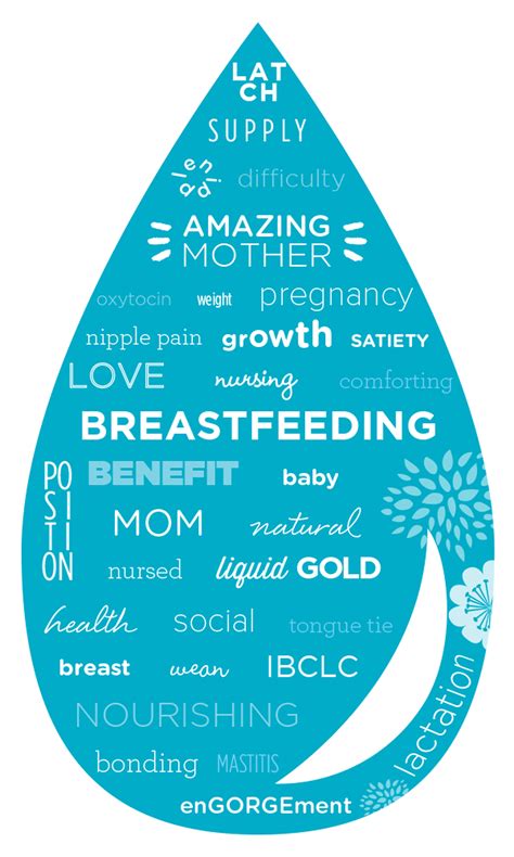 Solutions To Common Breastfeeding Problems Honest