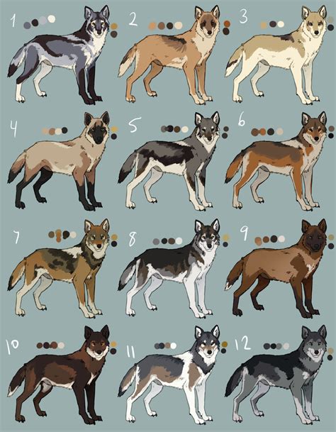 Anime Wolf Drawing Wolf Colors Canine Drawing