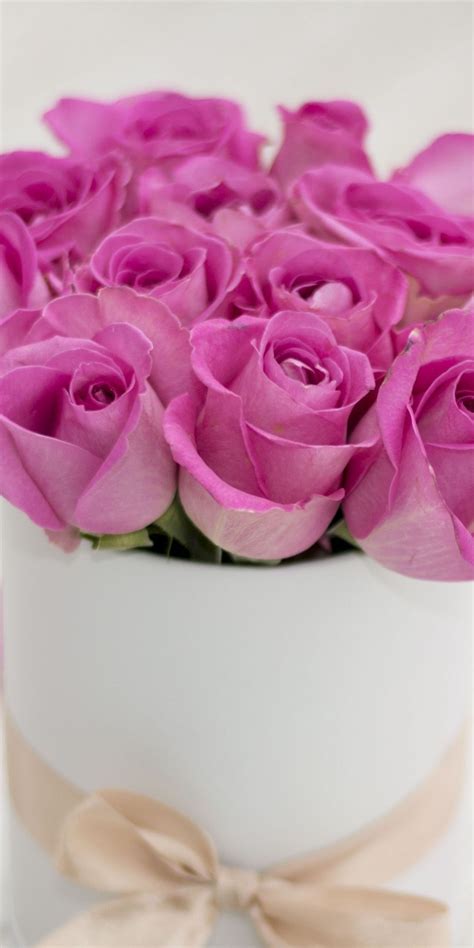 Make your smartphones more stylish and attractive with all these gorgeous hd wallpapers for your smartphone that will decorate your device with a exclusive looks. Pin by 🌹 D. Sparks 2🌹 on ⭐ Fragrance Among the Flowers ...