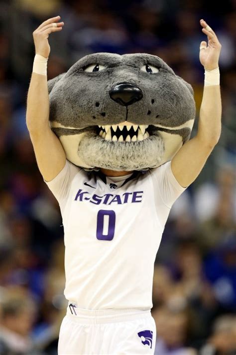 La Salle V Kansas State Mascots Represent Yahoo