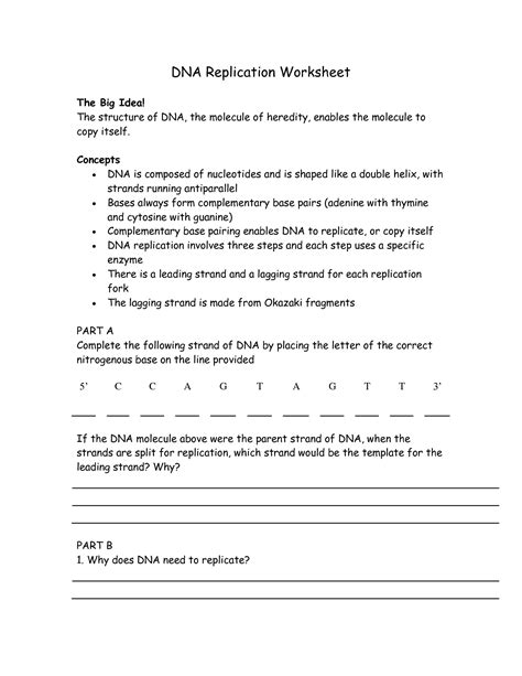 Review worksheet answer key covering ib biology content in dna structure and dna replication (topics 2.6, 2.7, and 7.1). 12 Best Images of DNA The Molecule Of Heredity Worksheet ...