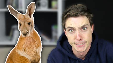 See more ideas about youtubers, youtube sensation, fortnite. I LOVE MY KANGAROO! - Reading Comments With LazarBeam #2 ...
