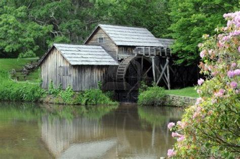 Old Water Mill By Pond With Pink Wildflowers Water Mill West