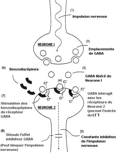 Effets secondaires et risques des tranquillisants, ou benzodiazépines, dans le traitement de l'angoisse, et de anxiolytiques: Les benzodiazépines : indications, liste, fonctionnement ...