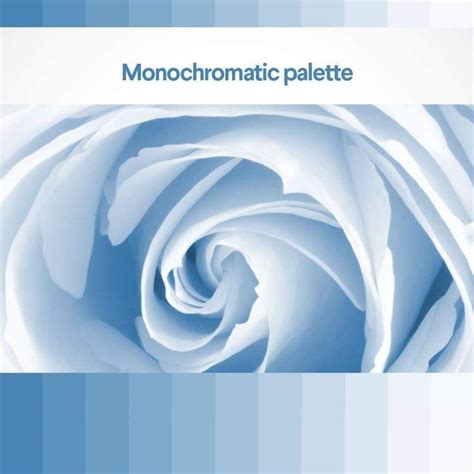 Monochromatic A Monochromatic Color Palette Uses One Single Color Cores