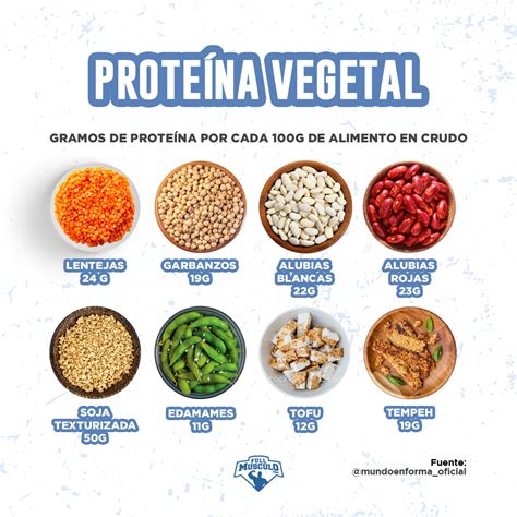 Alimentos Vegetales Ricos En Proteínas Y Geniales Para Nuestro Cuerpo