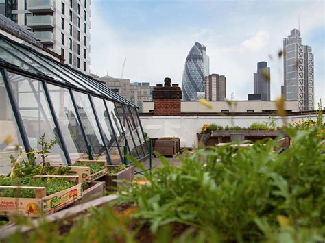 The London Fiver Five Of The Best Rooftop Gardens In London For Relaxation Londontopia