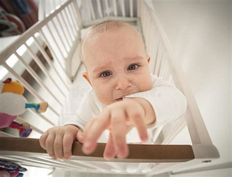 Baby Crying In The Crib Stock Image Image Of Afraid