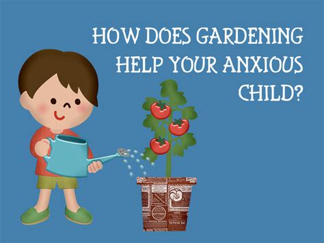 Gardening And Anxiety Whats The Connection
