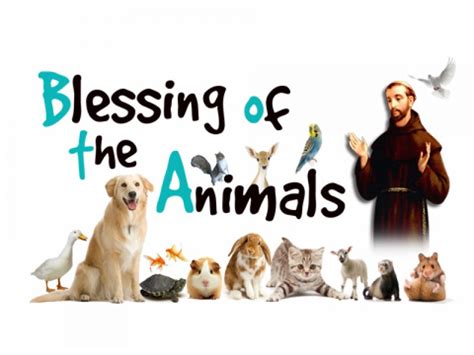 Blessing Of The Animals Holy Trinity Catholic Church