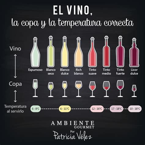 Conoce la temperatura y la copa ideal para cada vino Guía de vinos Maridaje de vinos Comida