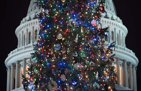 Christmas Tree History Pagan 2022 Christmas 2022 Update