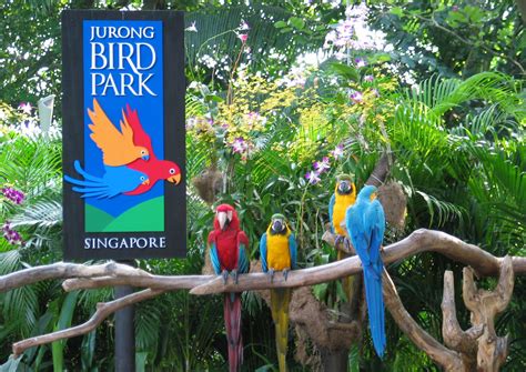 Jurong Bird Park Singapore Tickets Info Tips All You Need To Know