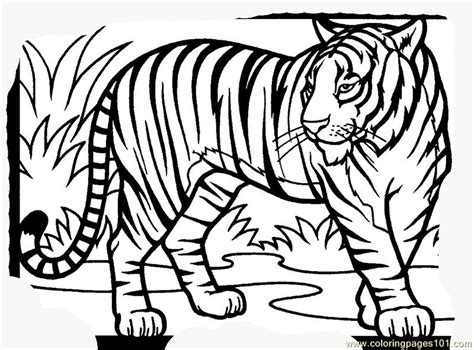 Tiger New 15 Coloring Page For Kids Free Tiger Printable Coloring