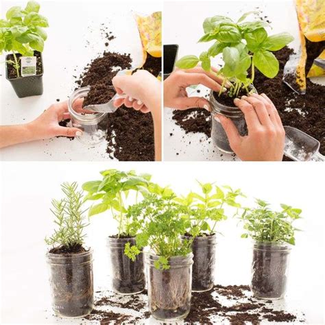 Maybe you would like to learn more about one of these? Mur végétal extérieur à faire soi-même en 13 idées à essayer