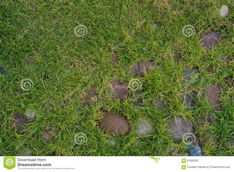 Stones And Grass Texture Background Stock Image Image Of Summer