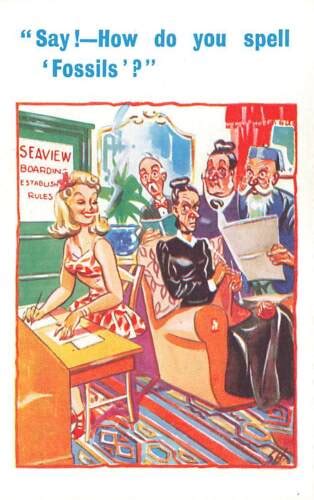 Vintage Comic Seaside Saucy Humor Witz Lustige Postkarte Von Hb Ltd