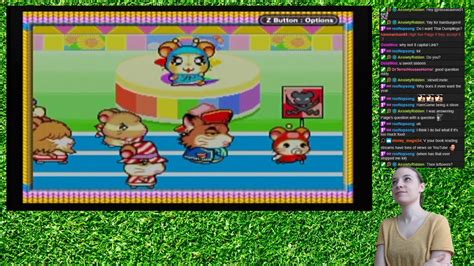 Little Hamsters New Adventures Hamtaro Ham Ham Games Part 1 Youtube