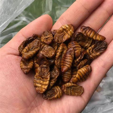 Dried Silkworms Pupae Fish Food Manufacturers Suppliers Factory