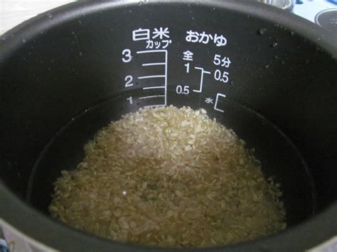 They're best used for direct ratios (for example, one plastic cup rice to two cups water). brown rice in rice cooker water ratio