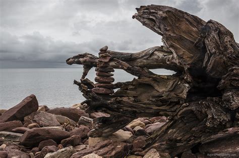 Driftwood And Stones Asgard Photography