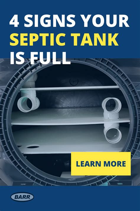 Best Septic System Safe Laundry Detergents Septic Tanks Artofit