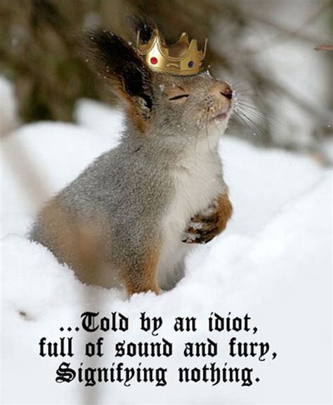 Animals Auditioning For Shakespeare Barnorama