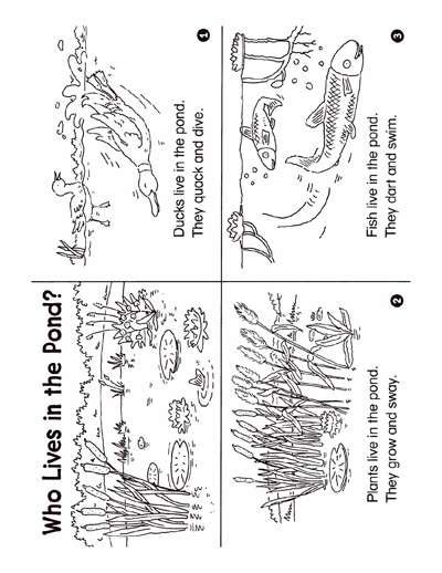 Who Lives In The Pond Minibook Worksheets And Printables Scholastic