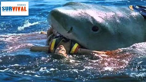 Shark Bites Mans Face A Diver Was Biting By A Nurse Shark Youtube