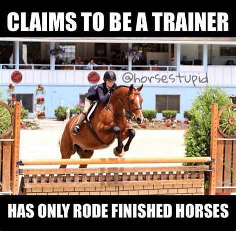 Funny Horse Memes And Equestrian Quotes
