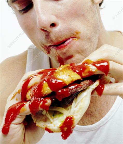 Man Eating Burger Stock Image P Science Photo Library