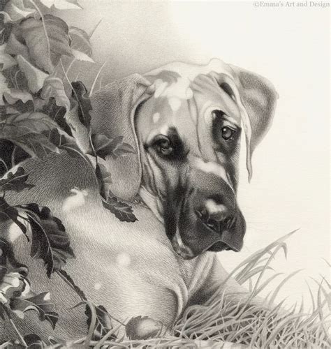 #GreatDane #GreatDaneArt | Great dane, Drawings, Dane