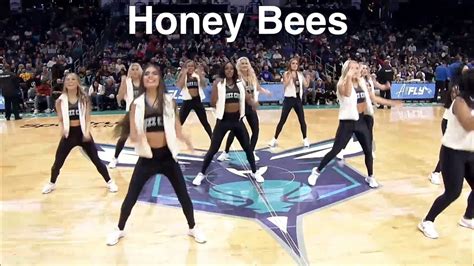 honey bees charlotte hornets dancers nba dancers 2 27 2022 dance