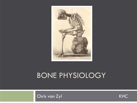 Ppt Bone Physiology Powerpoint Presentation Free Download Id1973165